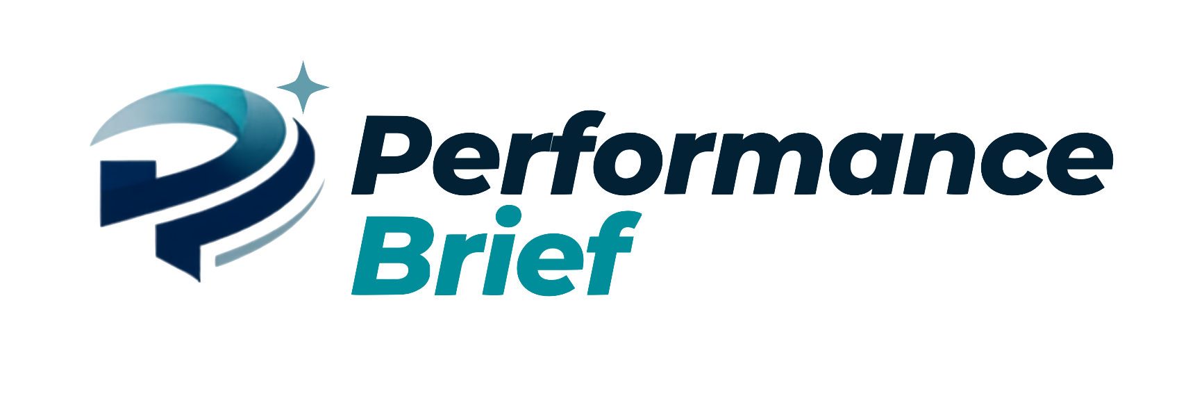 Performance Brief